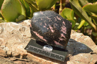 Polished Half Polished Pink & Black Rhodonite Free Forms x 5 From Ambindavato, Madagascar - TopRock