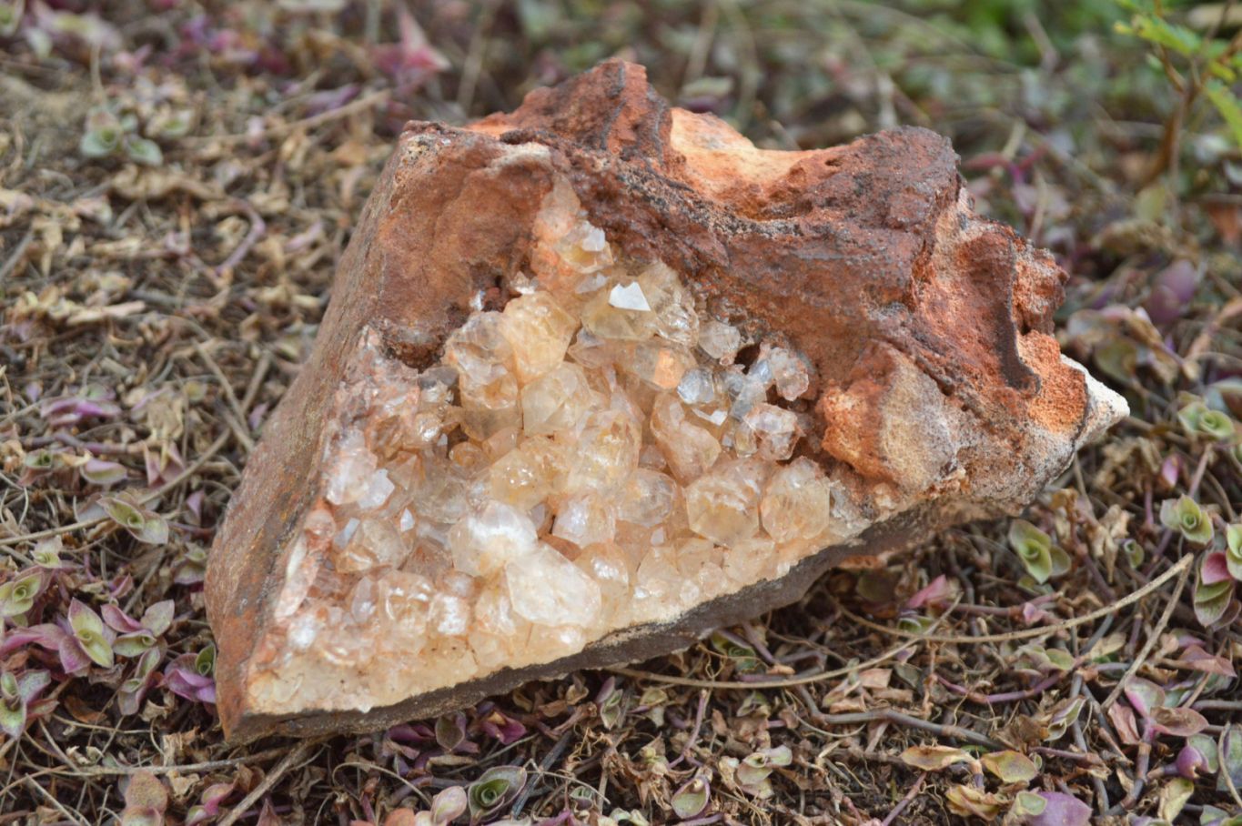Natural Quartz Clusters With Limonite Colouring  x 4 From Zambia - TopRock