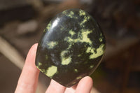 Polished Leopard Stone Standing Free Forms x 6 From Zimbabwe - Toprock Gemstones and Minerals 
