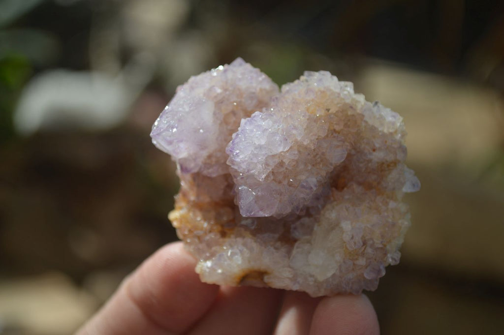 Natural Spirit Ametrine Quartz Crystals x 20 From Boekenhouthoek, South Africa - Toprock Gemstones and Minerals 