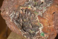 Natural Massive Drusy Coated Ball Malachite On Red Copper Dolomite Specimen x 1 From Likasi, Congo - Toprock Gemstones and Minerals 