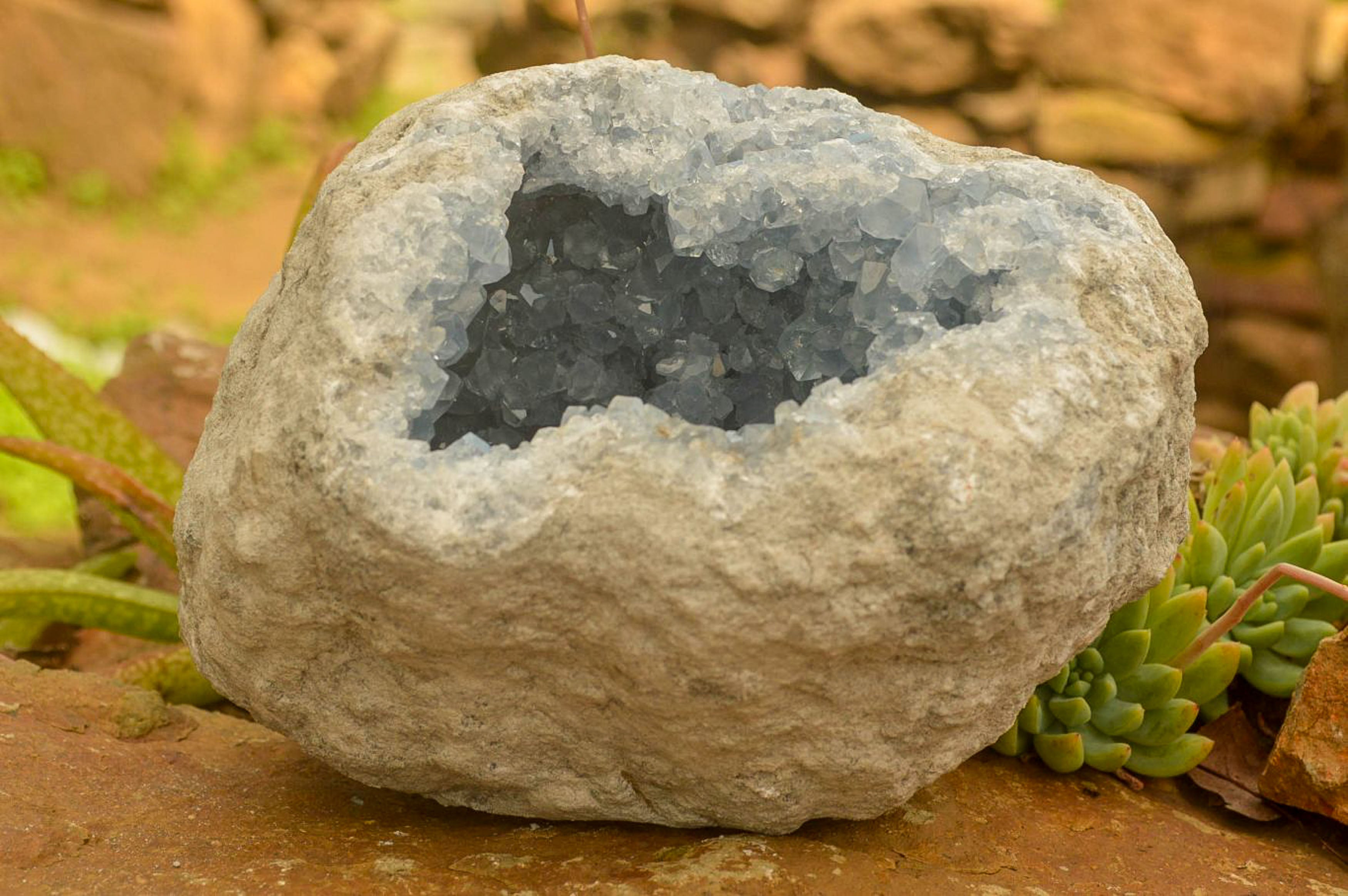 Natural Blue Celestite Geode Specimen  x 1 From Sakoany, Madagascar - TopRock
