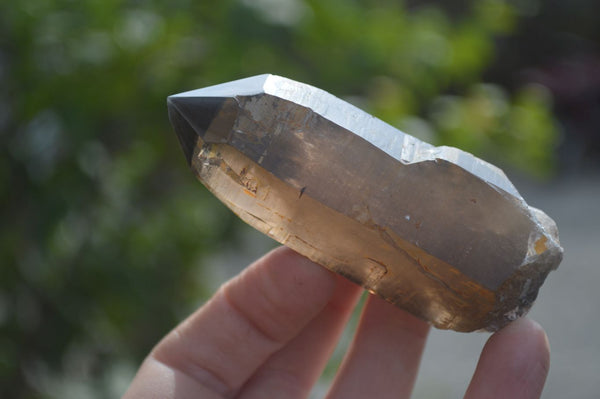Natural Smokey Quartz Crystals x 4 From Malawi - Toprock Gemstones and Minerals 