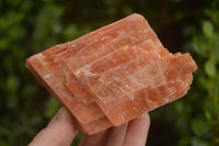 Natural New Sunset Orange Calcite Specimens  x 4 From Spitzkop, Namibia - Toprock Gemstones and Minerals 