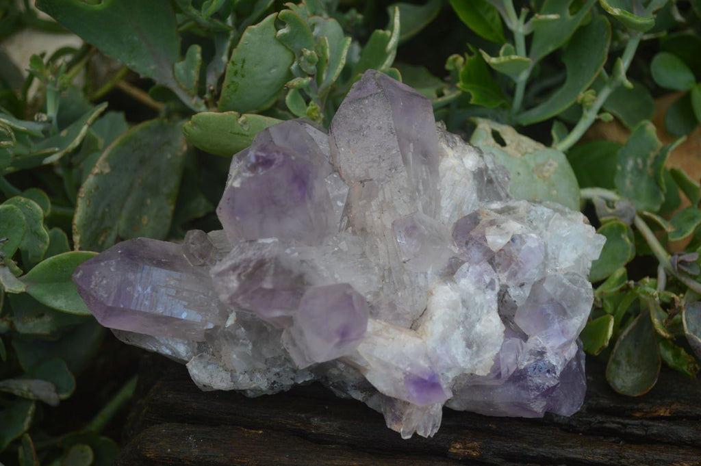 Natural Jacaranda Amethyst Clusters  x 2 From Mumbwa, Zambia - Toprock Gemstones and Minerals 