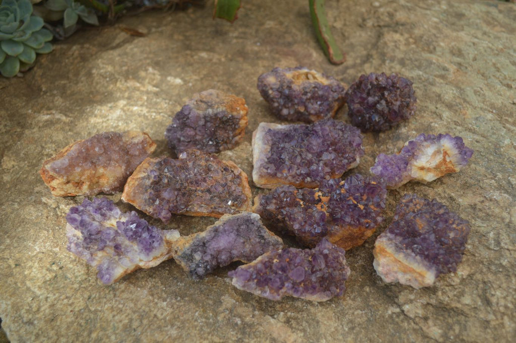 Natural Amethyst Crystal Plates x 12 From Mapatizya, Zambia - Toprock Gemstones and Minerals 