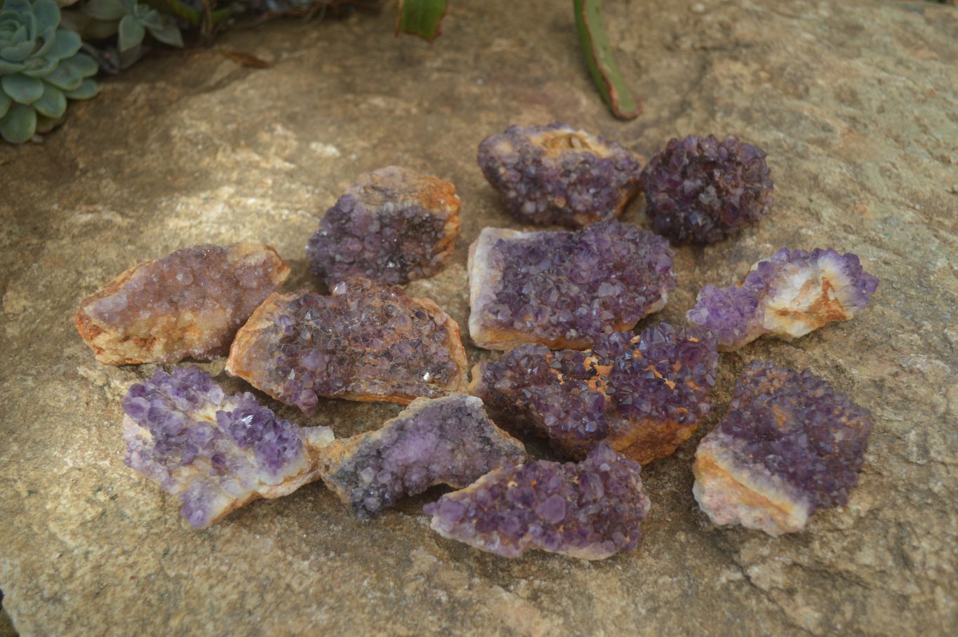 Natural Amethyst Crystal Plates x 12 From Mapatizya, Zambia - Toprock Gemstones and Minerals 