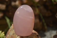 Polished Pink Rose Quartz Standing Free Forms x 2 From Ambatondrazaka, Madagascar - TopRock