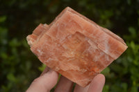 Natural New Sunset Orange Calcite Specimens  x 4 From Spitzkop, Namibia - Toprock Gemstones and Minerals 