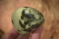 Polished Leopard Stone Standing Free Forms x 6 From Zimbabwe - Toprock Gemstones and Minerals 