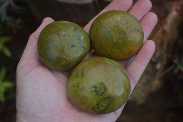 Polished Green Opal Palm Stones  x 12 From Antsirabe, Madagascar