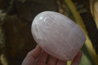 Polished Rose Quartz Standing Free Forms x 3 From Ambatondrazaka, Madagascar - Toprock Gemstones and Minerals 