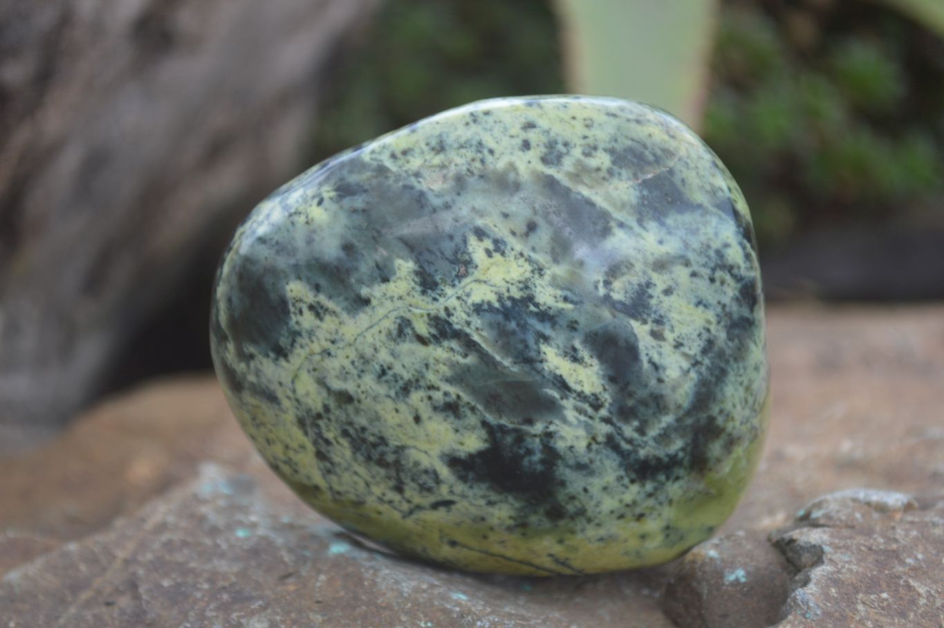 Polished Large Leopard Stone Palm Stones  x 6 From Zimbabwe - Toprock Gemstones and Minerals 