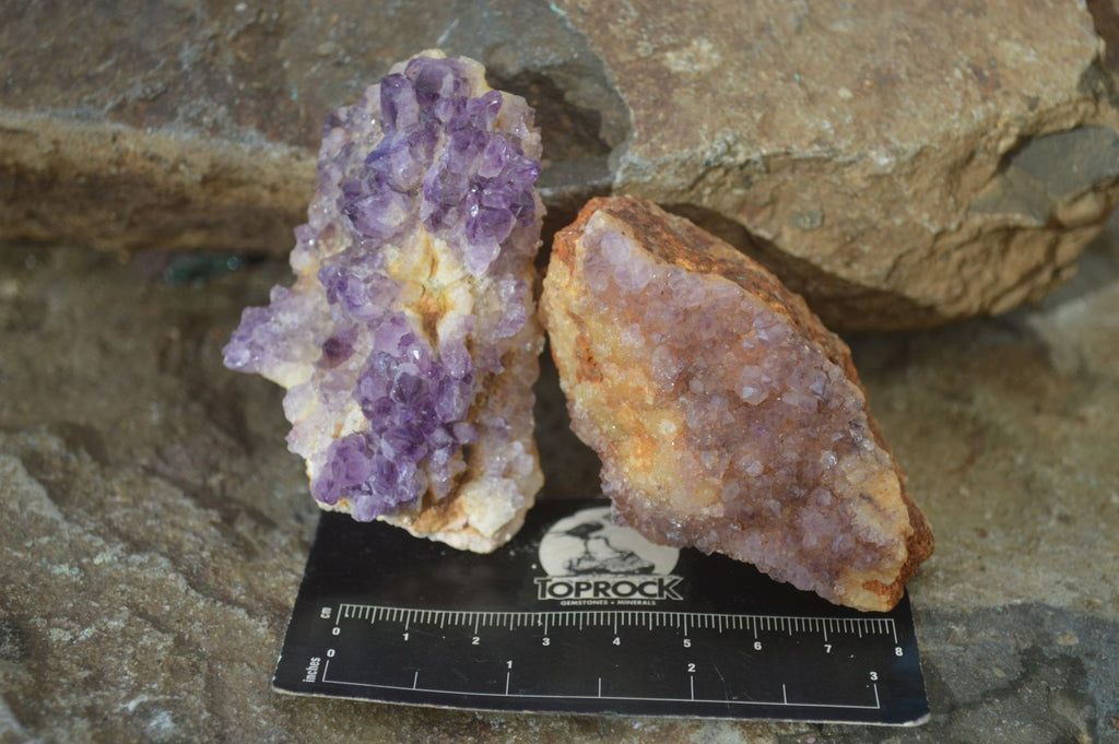 Natural Amethyst Crystal Plates x 12 From Mapatizya, Zambia - Toprock Gemstones and Minerals 