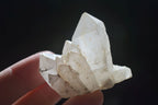 Natural Small Mixed Quartz Clusters  x 35 From Madagascar - Toprock Gemstones and Minerals 