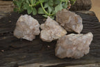 Natural Smokey Quartz Clusters x 4 From Luena, Congo - Toprock Gemstones and Minerals 