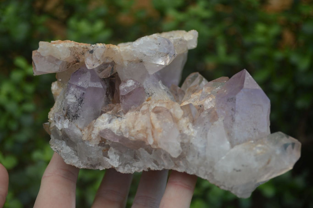 Natural Jacaranda Amethyst Clusters  x 2 From Mumbwa, Zambia - Toprock Gemstones and Minerals 