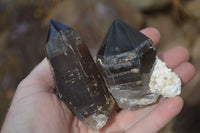 Natural Smokey Quartz Crystals x 4 From Malawi - Toprock Gemstones and Minerals 