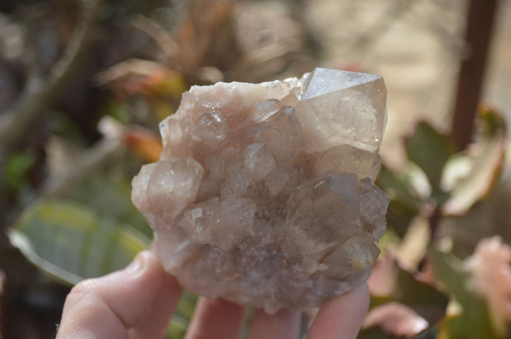 Natural Smokey Quartz Clusters x 4 From Luena, Congo - Toprock Gemstones and Minerals 