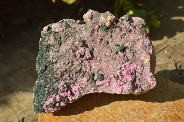 Natural Pink Salrose Cobaltion Dolomite Specimen With Silky Malachite x 1 From Kakanda, Congo - TopRock