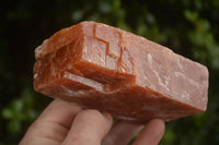 Natural New Sunset Orange Calcite Specimens  x 4 From Spitzkop, Namibia - Toprock Gemstones and Minerals 