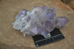Natural Jacaranda Amethyst Clusters  x 2 From Mumbwa, Zambia - Toprock Gemstones and Minerals 