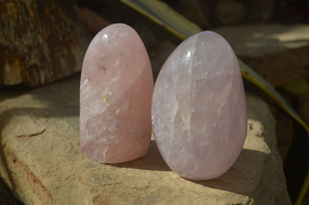 Polished Rose Quartz Standing Free Forms x 3 From Ambatondrazaka, Madagascar - Toprock Gemstones and Minerals 