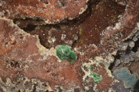 Natural Massive Drusy Coated Ball Malachite On Red Copper Dolomite Specimen x 1 From Likasi, Congo - Toprock Gemstones and Minerals 