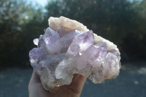 Natural Jacaranda Amethyst Cluster  x 1 From Zambia - Toprock Gemstones and Minerals 