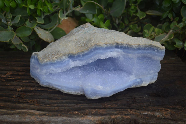 Natural Extra Large Blue Lace Agate Geode  x 1 From Malawi - Toprock Gemstones and Minerals 