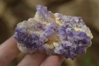 Natural Amethyst Crystal Plates x 12 From Mapatizya, Zambia - Toprock Gemstones and Minerals 