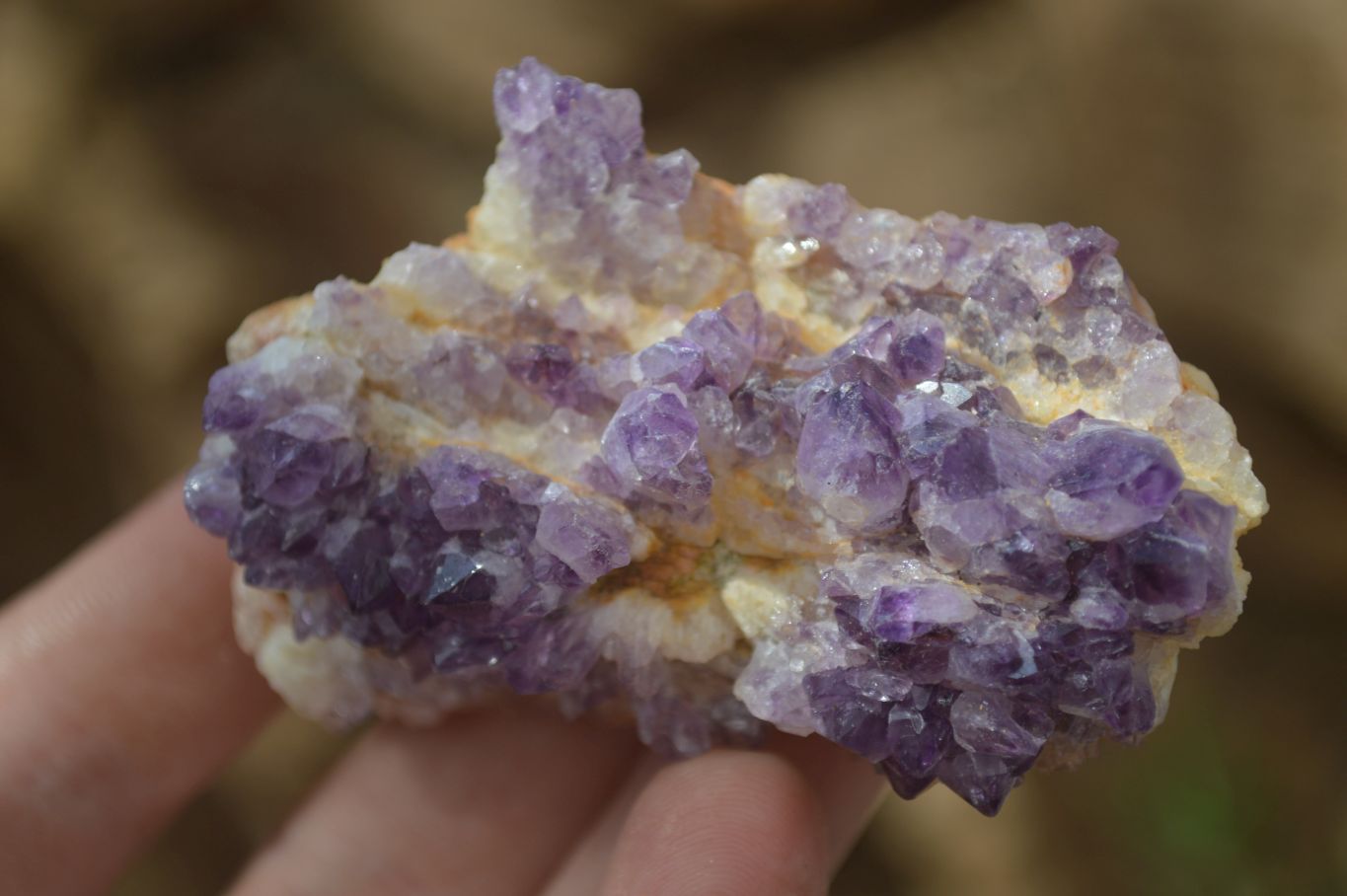 Natural Amethyst Crystal Plates x 12 From Mapatizya, Zambia - Toprock Gemstones and Minerals 