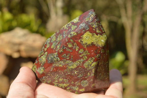 Polished Dragon (Bastite & Piedmontite) Bloodstone Points x 6 From Southern Africa - TopRock
