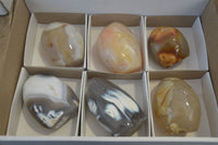 Polished Mixed Agate Standing Free Forms  x 6 From Madagascar