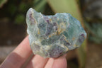 Natural Rough Watermelon Fluorite Cobbed Specimens x 12 From Uis, Namibia - Toprock Gemstones and Minerals 