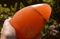 Polished Orange Twist Calcite Standing Free Forms  x 2 From Madagascar - TopRock