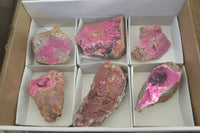 Natural Pink Salrose Cobaltion Dolomite Specimens x 6 From Kakanda, Congo - Toprock Gemstones and Minerals 