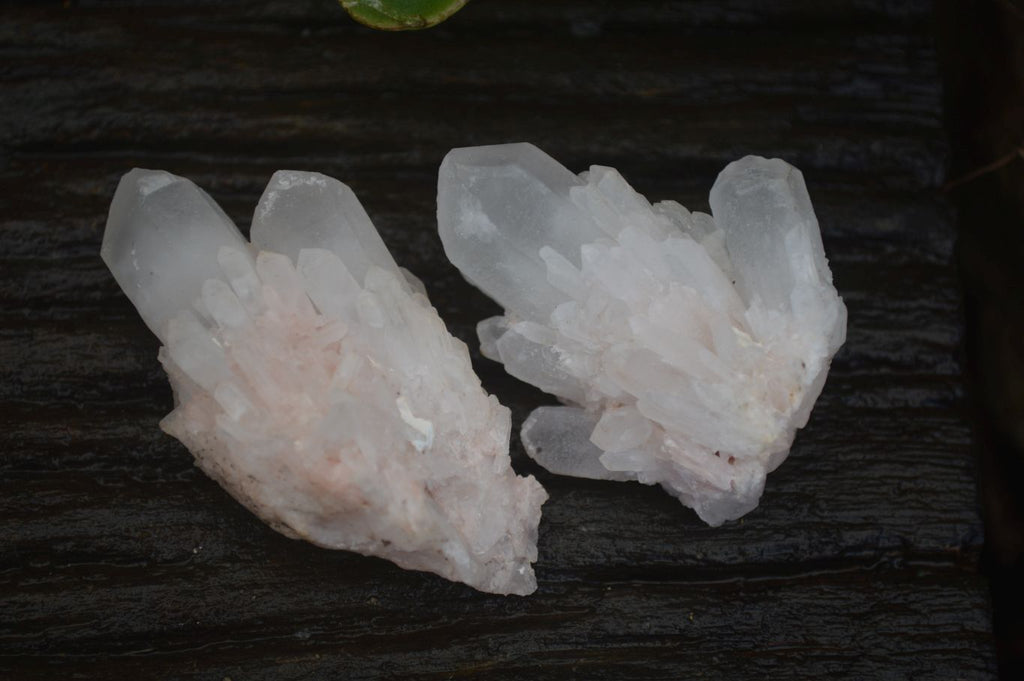 Natural Small Mixed Quartz Clusters  x 35 From Madagascar - Toprock Gemstones and Minerals 