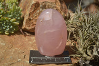 Polished Pink Rose Quartz Standing Free Forms x 2 From Ambatondrazaka, Madagascar - TopRock
