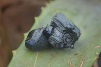 Natural Schorl Black Tourmaline Specimens  x 27 From Erongo, Namibia - Toprock Gemstones and Minerals 