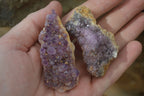 Natural Amethyst Crystal Plates x 12 From Mapatizya, Zambia - Toprock Gemstones and Minerals 