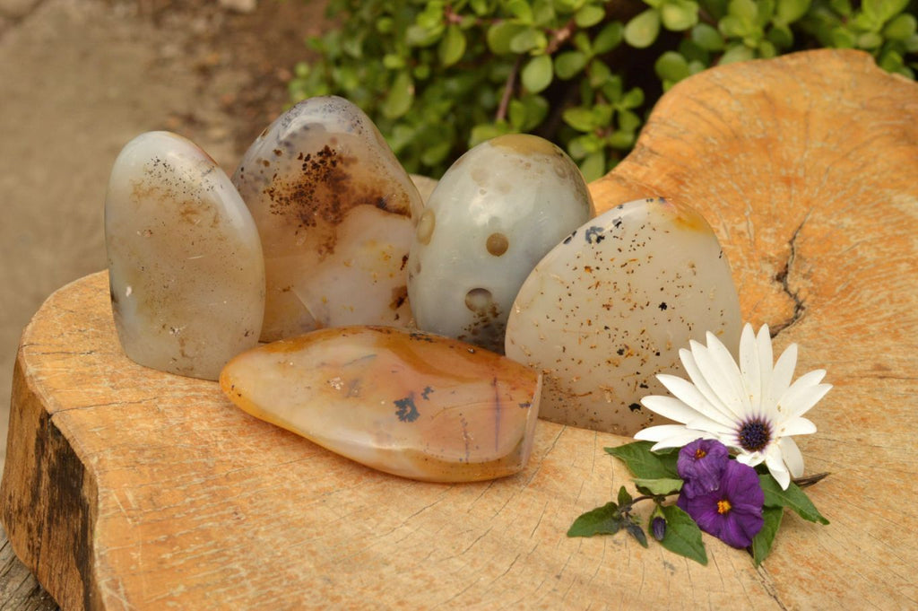 Polished Dendritic Agate Standing Free Forms  x 5 From Moralambo, Madagascar - TopRock