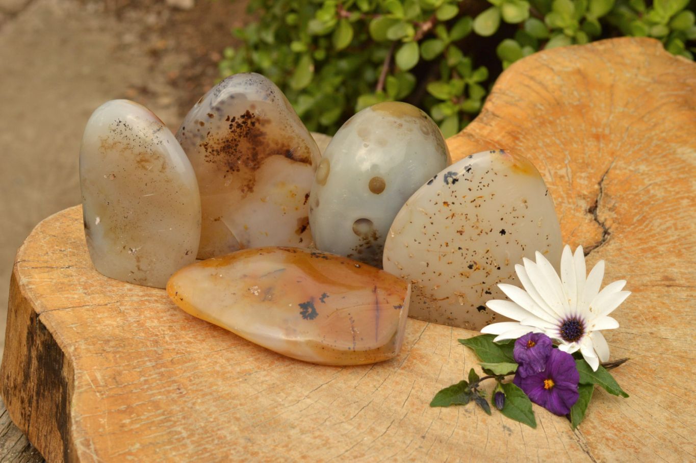 Polished Dendritic Agate Standing Free Forms  x 5 From Moralambo, Madagascar - TopRock