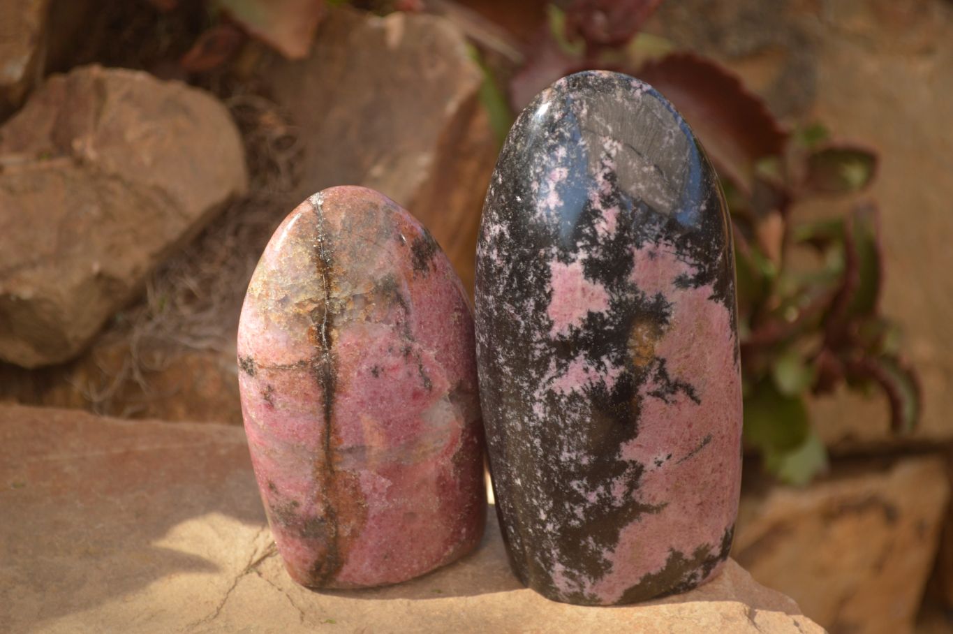 Polished  Pink & Black Rhodonite Standing Free Forms x 2 From Madagascar - Toprock Gemstones and Minerals 