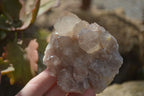 Natural Smokey Quartz Clusters x 4 From Luena, Congo - Toprock Gemstones and Minerals 