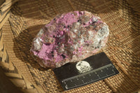 Natural Salrose Cobaltion Dolomite Specimens x 3 From Kakanda, Congo - Toprock Gemstones and Minerals 