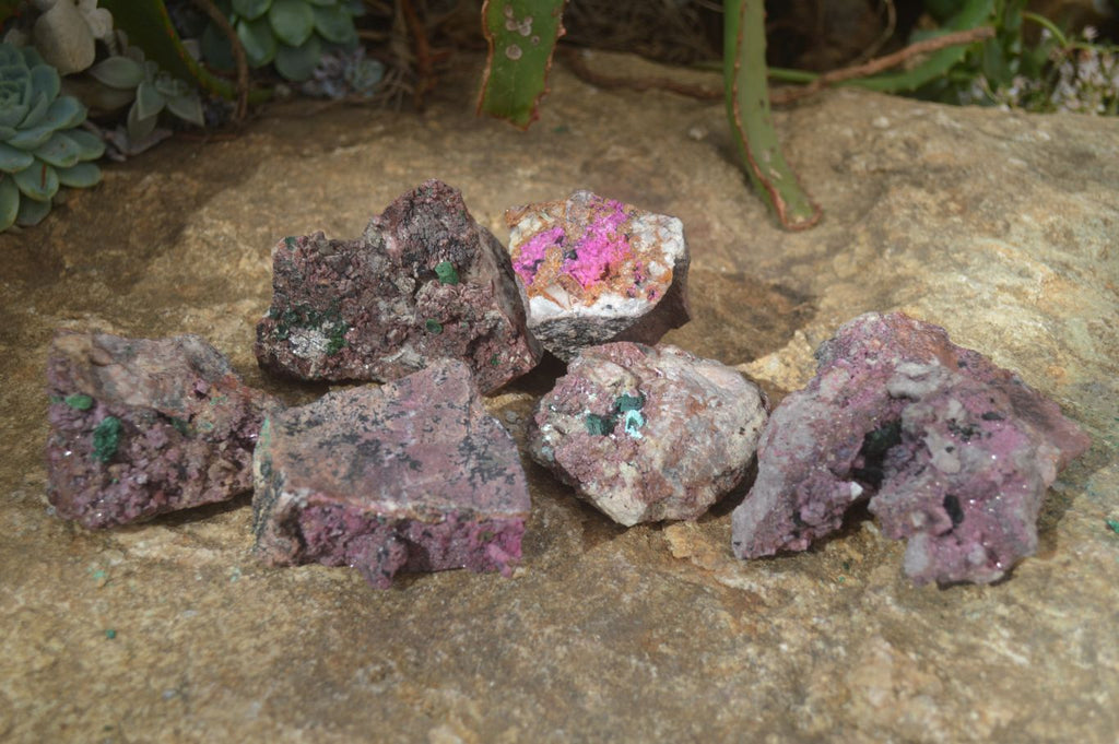 Natural Pink Salrose Cobaltion Dolomite Specimens  x 6 From Kakanda, Congo - Toprock Gemstones and Minerals 