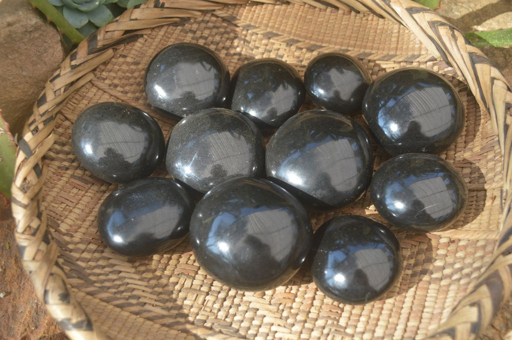 Polished Black Basalt Palm Stones x 12 From Madagascar - Toprock Gemstones and Minerals 