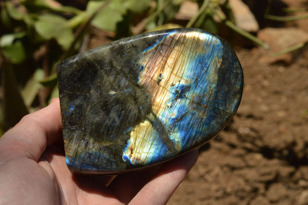 Polished Labradorite Standing Free Forms With Intense Blue & Gold Flash x 2 From Sakoany, Madagascar - TopRock