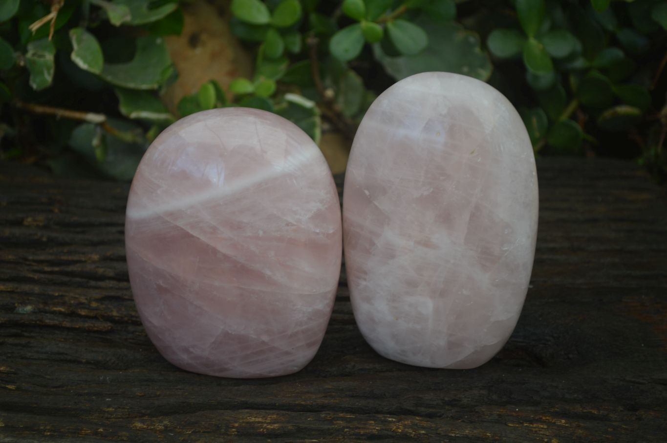 Polished Pink Rose Quartz Standing Free Forms x 2 From Antsirabe, Madagascar - Toprock Gemstones and Minerals 